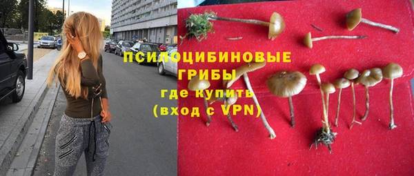 ПСИЛОЦИБИНОВЫЕ ГРИБЫ Киренск